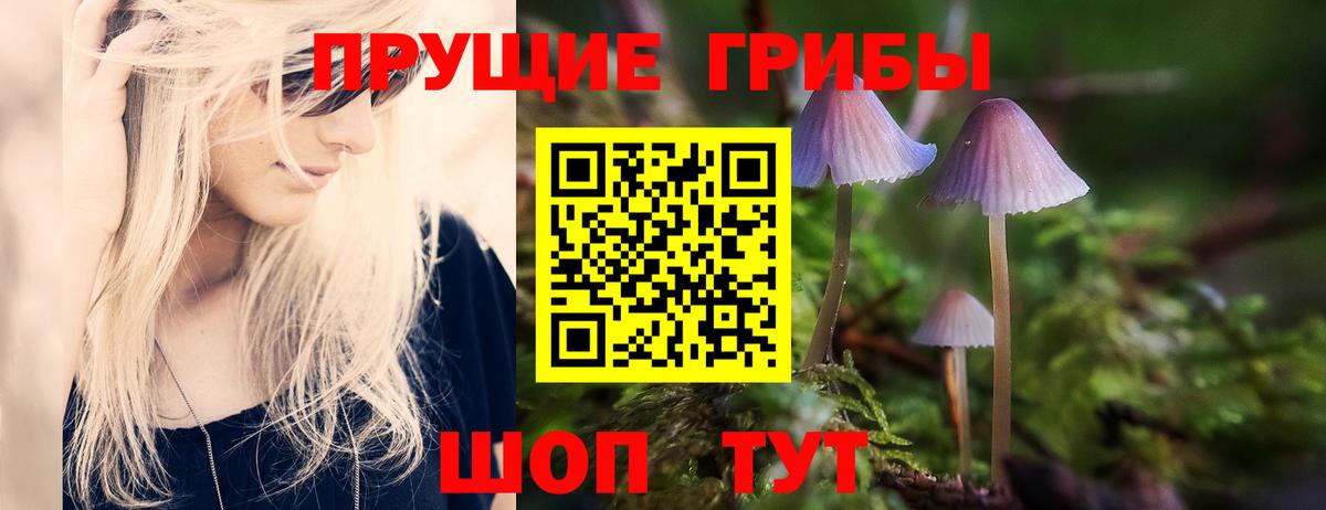 Гусев  Псилоцибиновые грибы Magic Shrooms  Вход с VPN 
