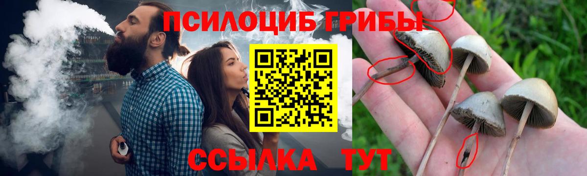 Псилоцибиновые грибы Magic Shrooms Гусев